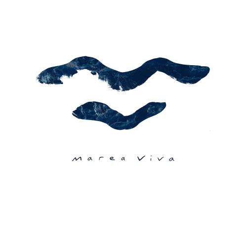 M a r e a V i v a Z i p o l i t e in San Pedro Pochutla, Mexico