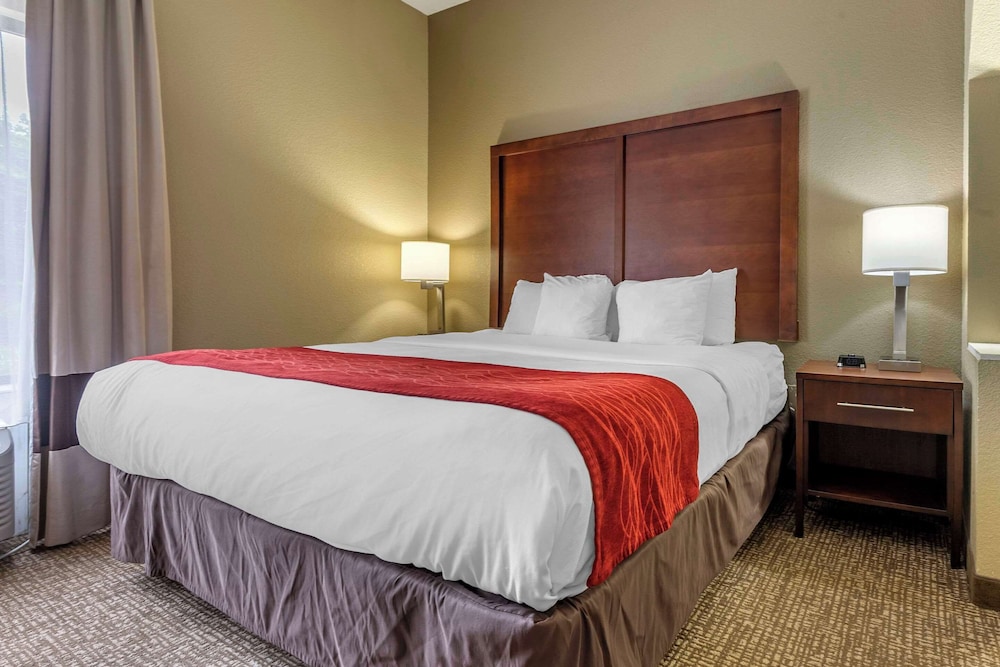 Comfort Inn & Suites Mocksville I 40 - photo 19