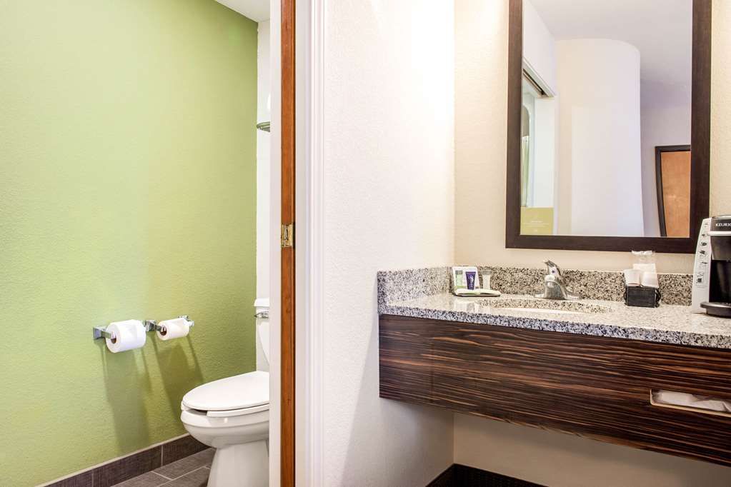 Sleep Inn & Suites Columbus South - photo 13