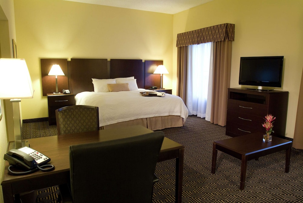 Hampton Inn & Suites Orlando John Young Pkwy S. Park - photo 7
