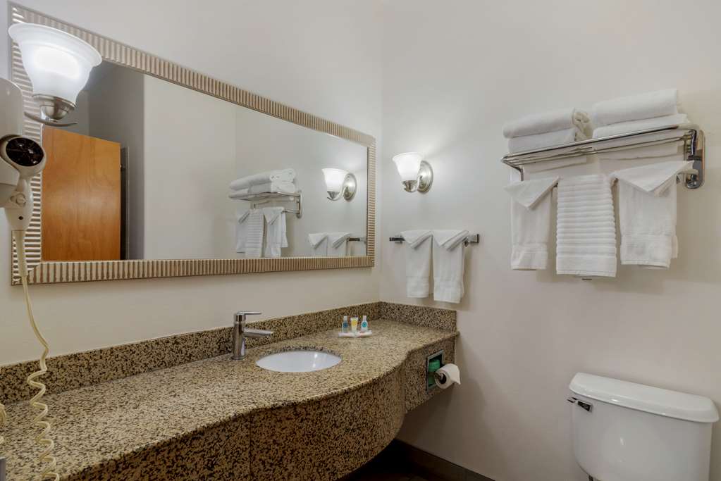 Comfort Suites Stockbridge Atlanta South - photo 5