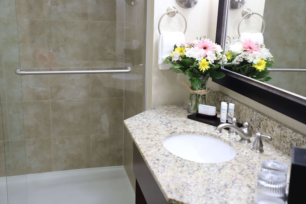 Embassy Suites by Hilton Nashville at Vanderbilt - photo 20