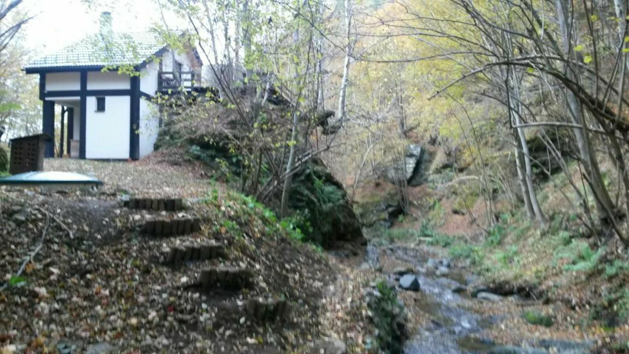 Cabana Crenguta in Sibiu, Romania