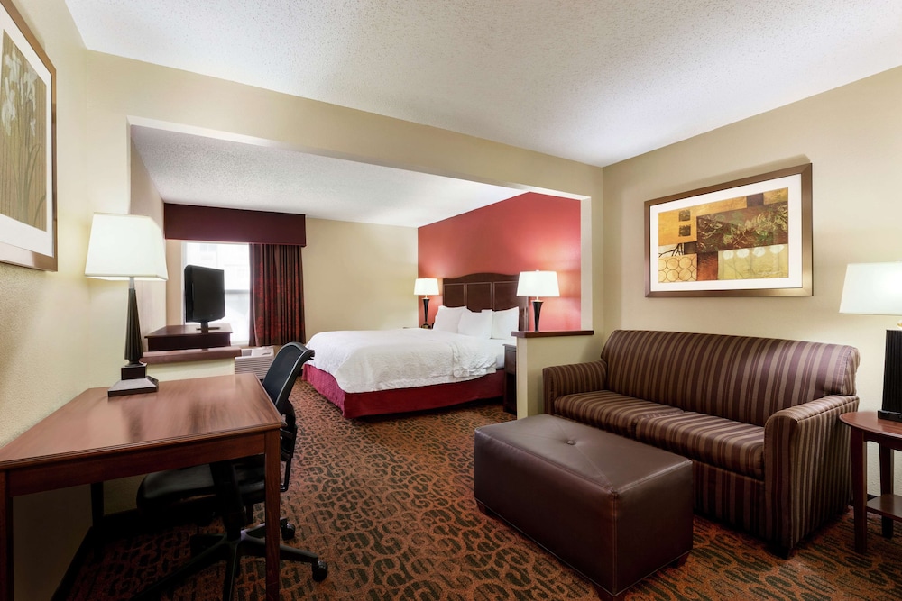 Hampton Inn Abilene - photo 4