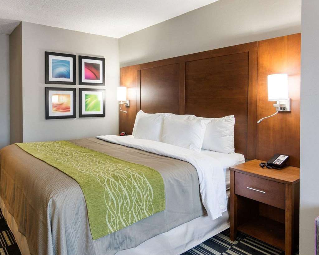 Quality Inn & Suites Ashland near Kings Dominion - photo 14