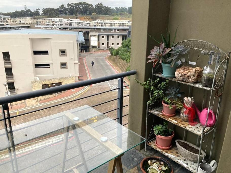 The Hippo Luxury Apartment