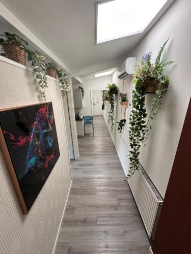 Dea Dreams Marghera 43 Near San Siro Stadium — 4-Star Luxury Hotel in Milan, Italy