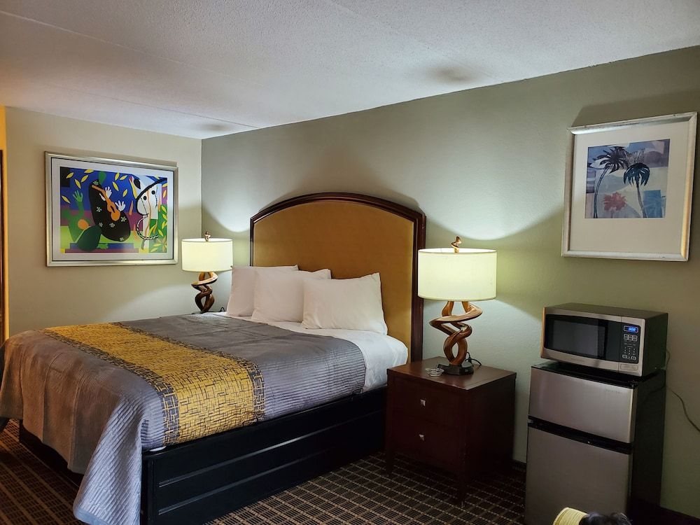 Palmetto Inn & Suites - photo 9