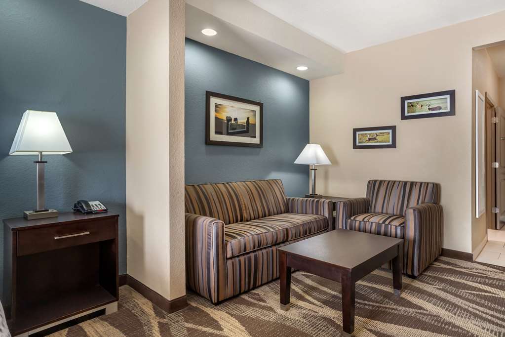 Best Western Plus Lake Jackson Inn & Suites - photo 22