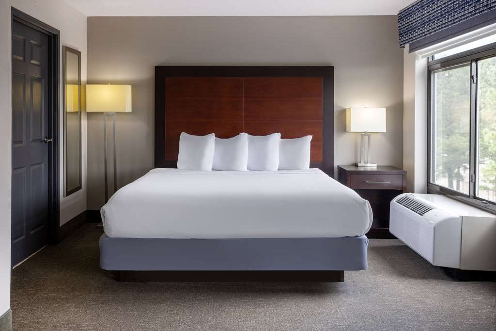 Wingate by Wyndham Atlanta Galleria Ballpark - photo 22