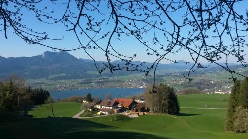 Gesundheitshof Daxinger Bio — hotel in Mondsee