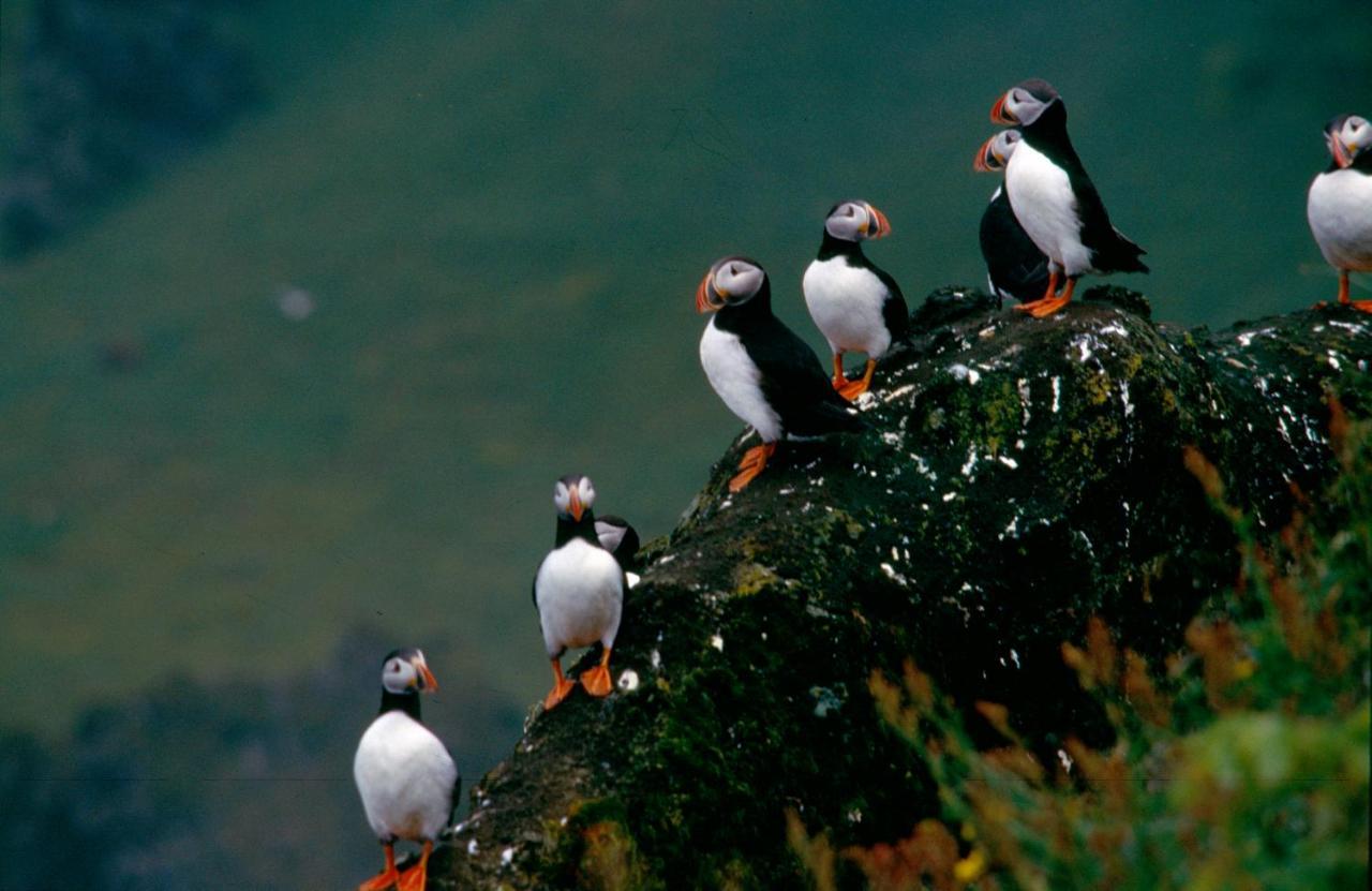 South Coast Panorama in Unknown City, Iceland