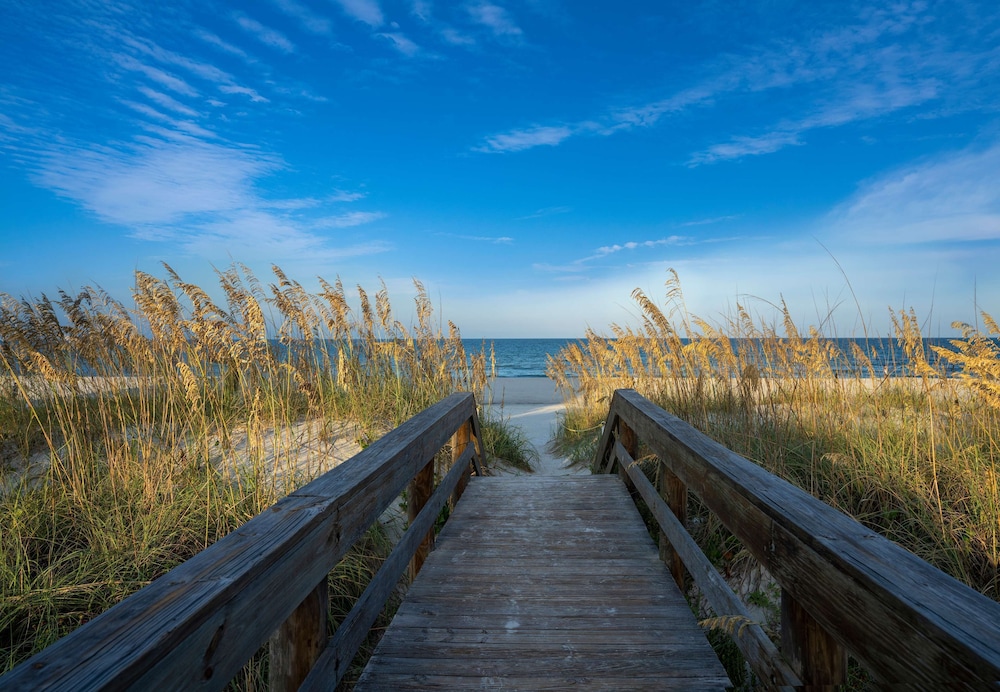 Hampton Inn Jacksonville Beach Oceanfront - photo 82