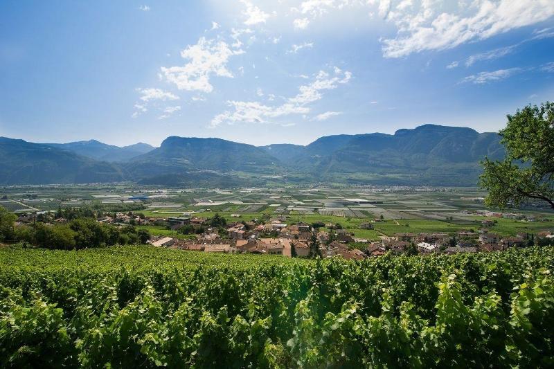 Panorama Tramin in Termeno, Italy