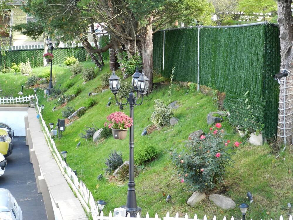 Central Motel Court Yard - photo 122