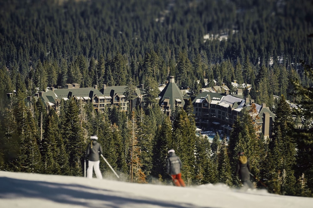 The Ritz Carlton Lake Tahoe - photo 93
