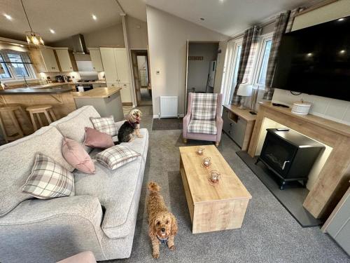 Luxury 3 bedroom Maple View Lodge Newquay Cornwall — 4-Star Luxury Hotel in Newquay, United Kingdom
