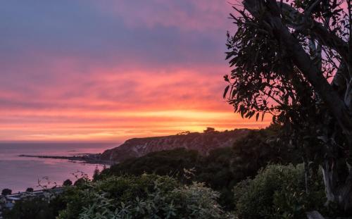 Spectacular Views Convenient & Affordable in Kaikoura, New Zealand