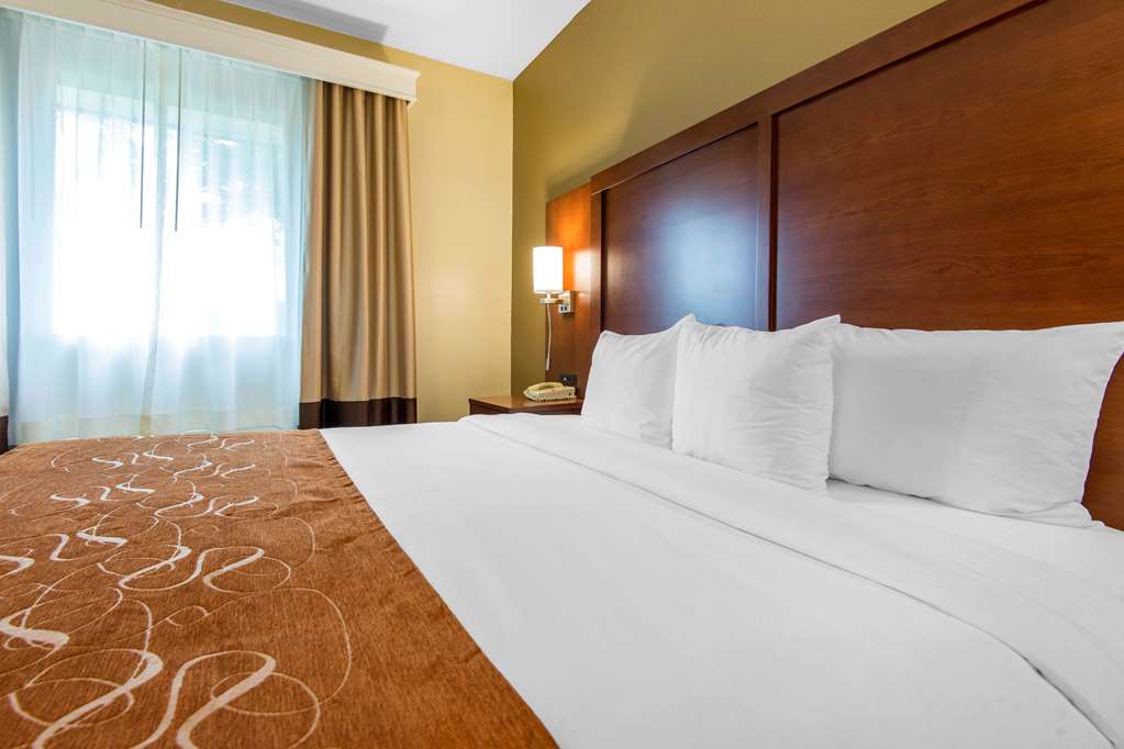 Comfort Suites Rochester Henrietta University Area - photo 10