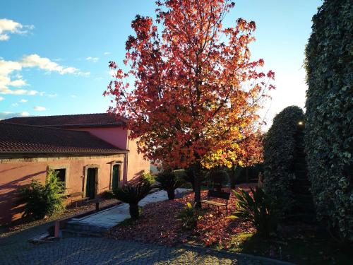 Quinta de Baixo — hotel in Mesao Frio