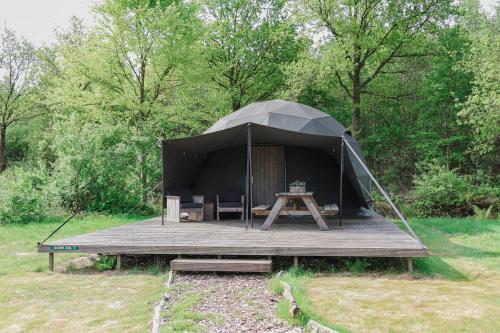 Dome Xxl - last minute hotel in Unknown City