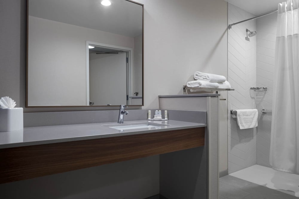 Fairfield Inn & Suites by Marriott Dallas DFW Airport North Irving - photo 10