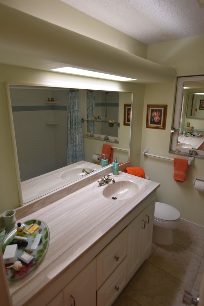 Oasis at John's Pass Madeira Beach - photo 41