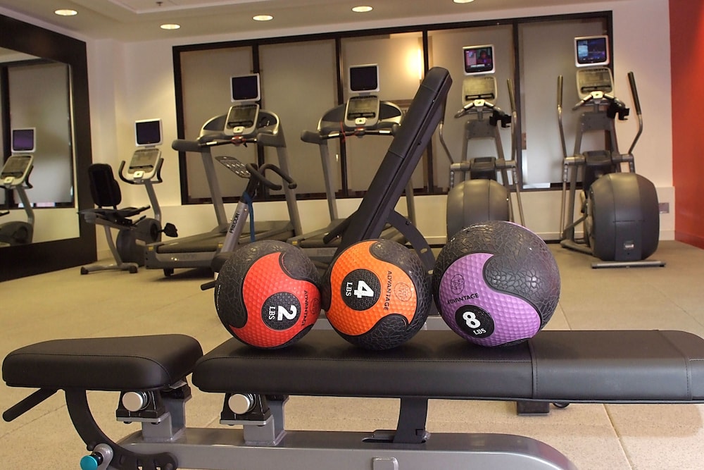 Embassy Suites by Hilton Detroit Metro Airport - photo 30