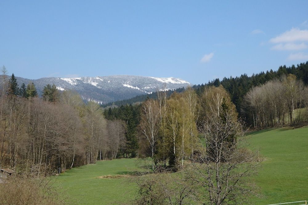 Garni GrünWies Adults Only — Lohberg — photo 4