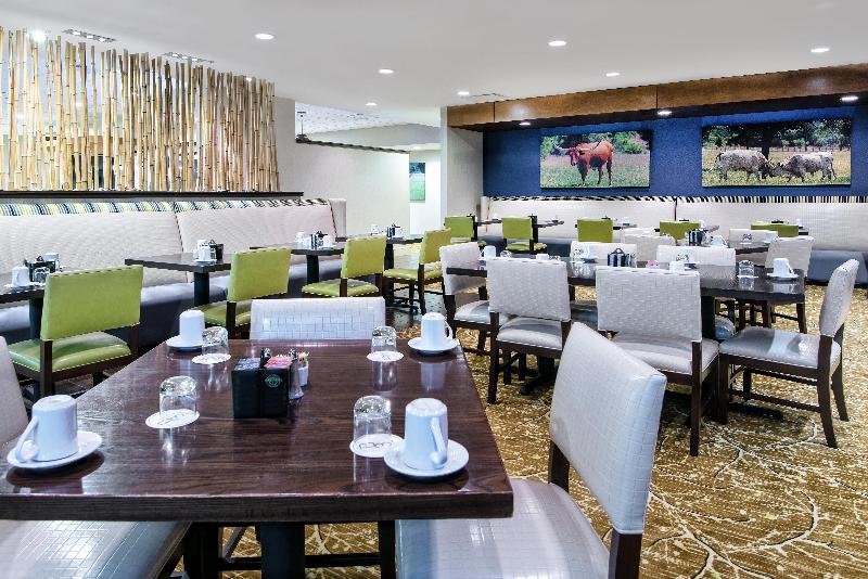 Holiday Inn Dallas Dfw Airport Area West - photo 18