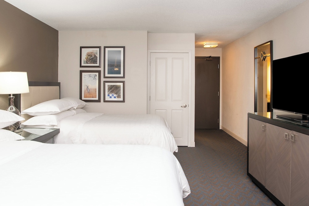 Sheraton Minneapolis West Hotel - photo 29