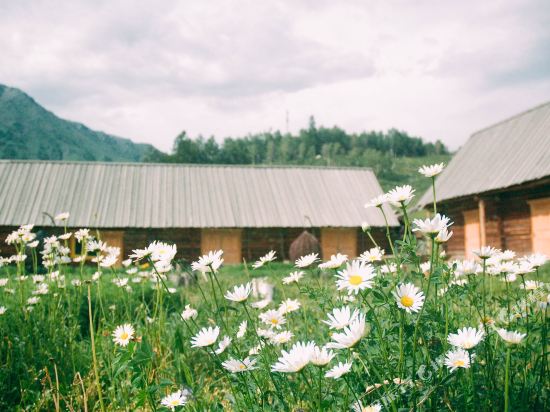 Qingpu Inn in Burqin, People's Republic of China