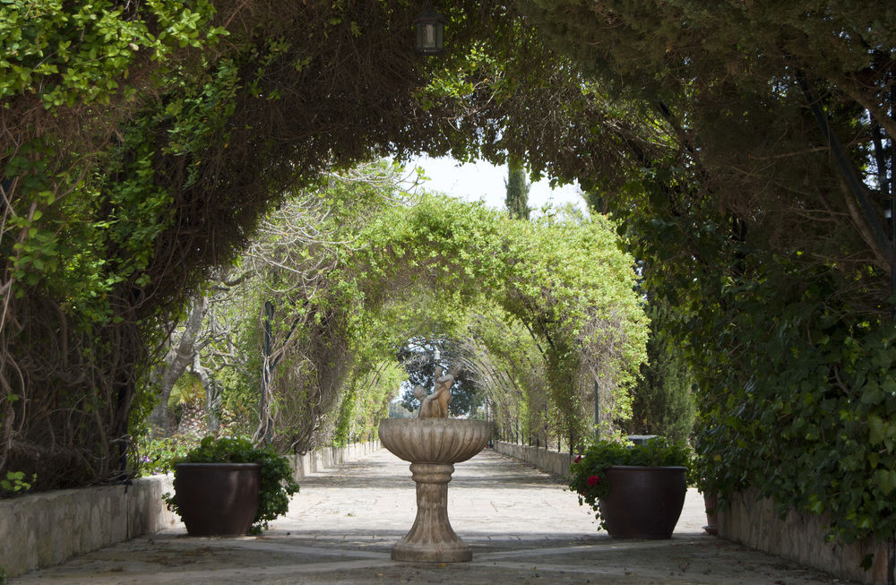 Finca Sa Garriga — Binissalem