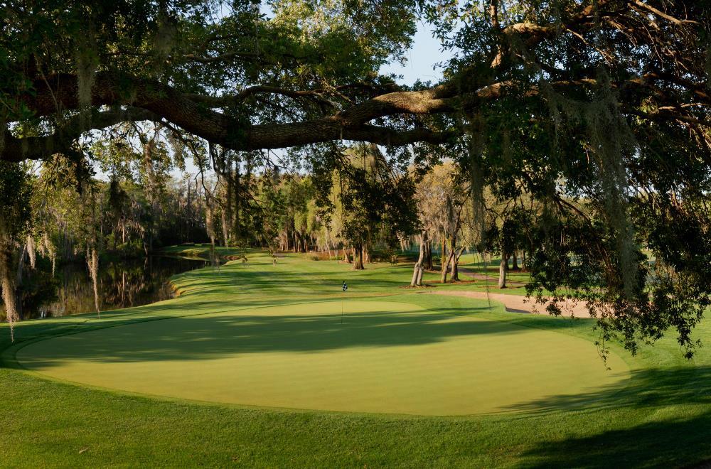Innisbrook Resort - photo 10