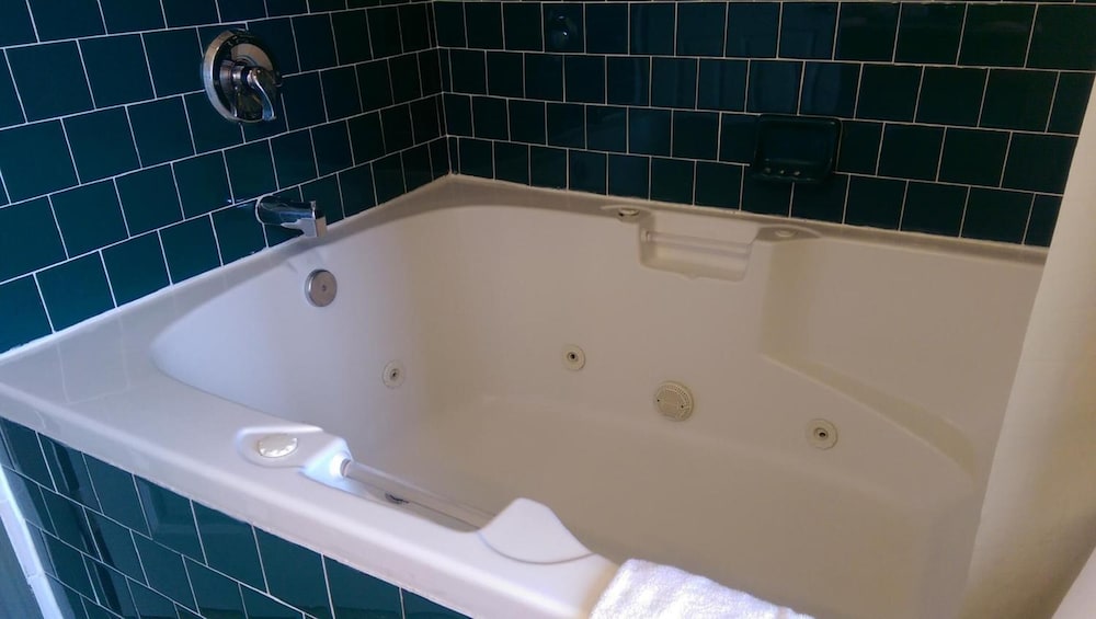 Holland Inn & Suites - photo 40
