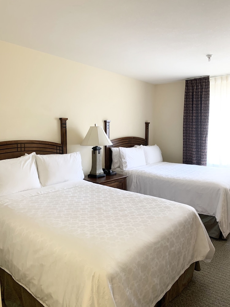 Staybridge Suites Albuquerque Airport by IHG - photo 6