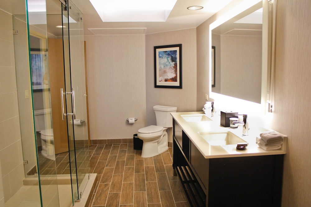 Embassy Suites by Hilton Seattle North Lynnwood - photo 30