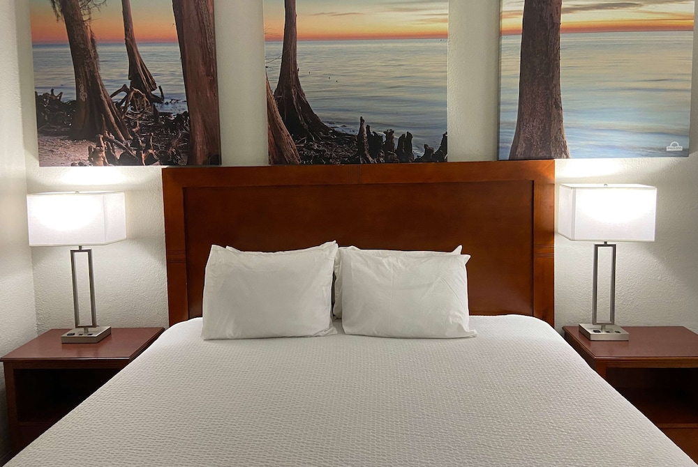 Days Inn by Wyndham Ozark - photo 8