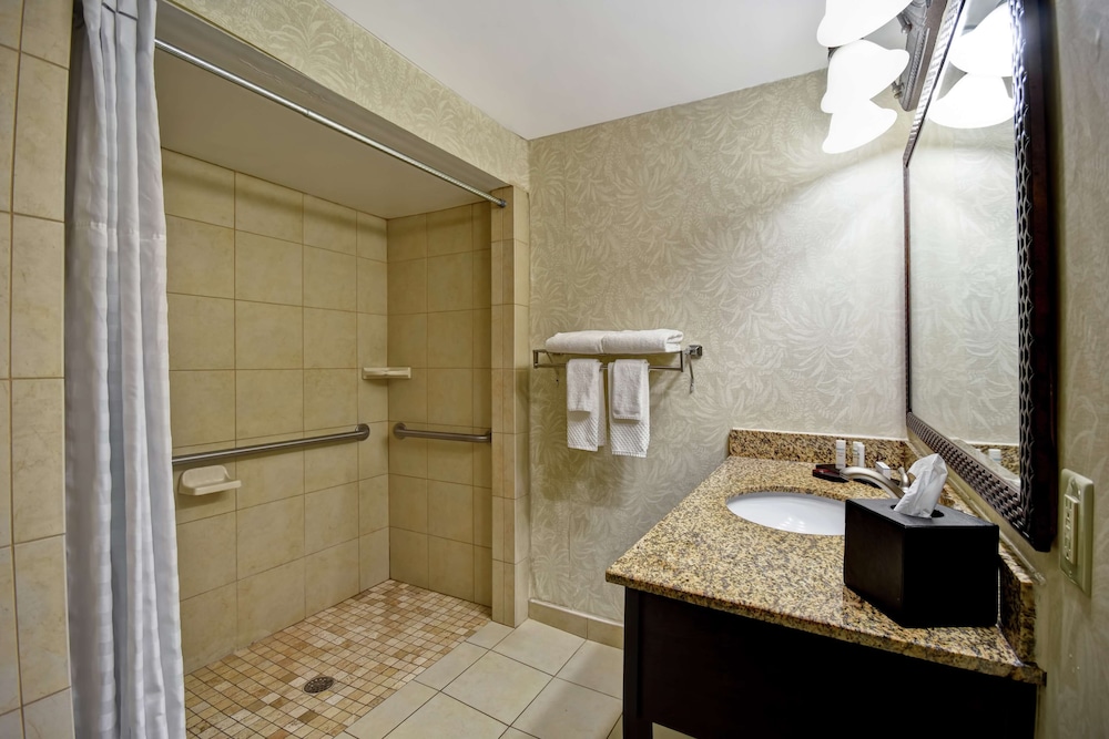 Embassy Suites by Hilton Charleston Historic District - photo 26