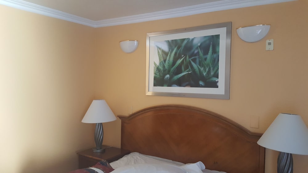 Flamingo Inn Long Beach - photo 11