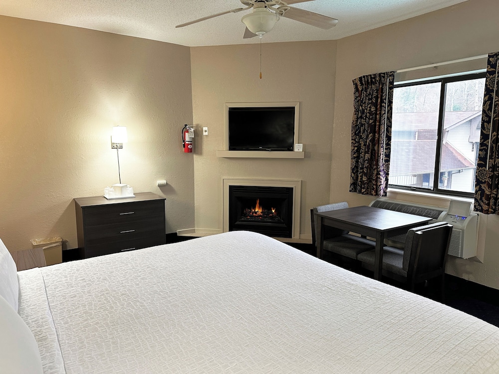 Sidney James Mountain Lodge - photo 23