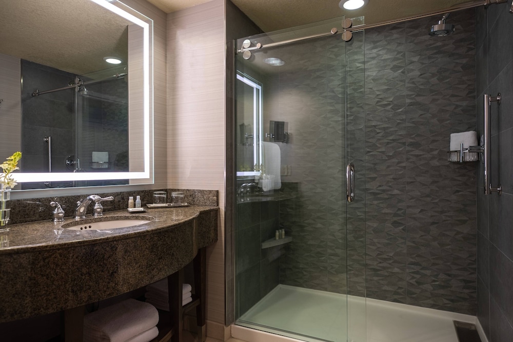 Renaissance Dallas Richardson Hotel - photo 25