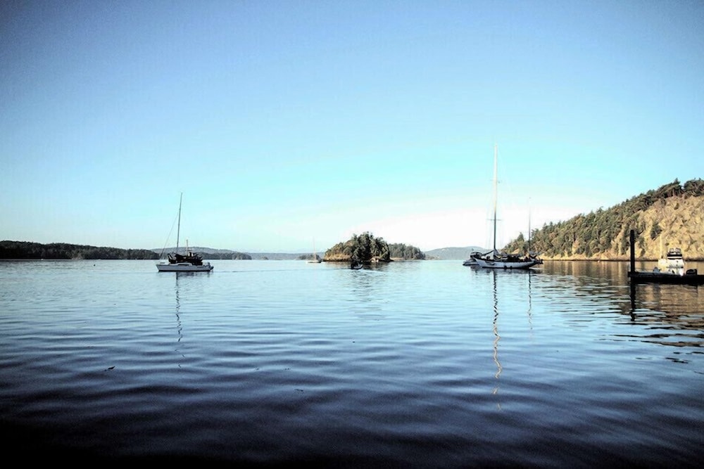 Deer Harbor Cottages - photo 52