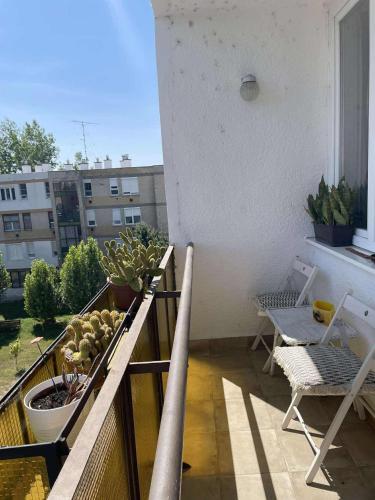 Digitális Detox Apartman — Tiszafured — photo 4