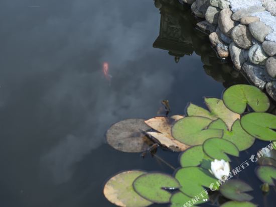 WangyunSmallHouse in Yunhe, People's Republic of China