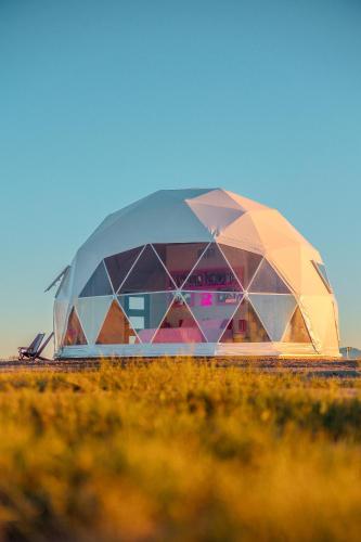 The Hive - last minute hotel in Willcox