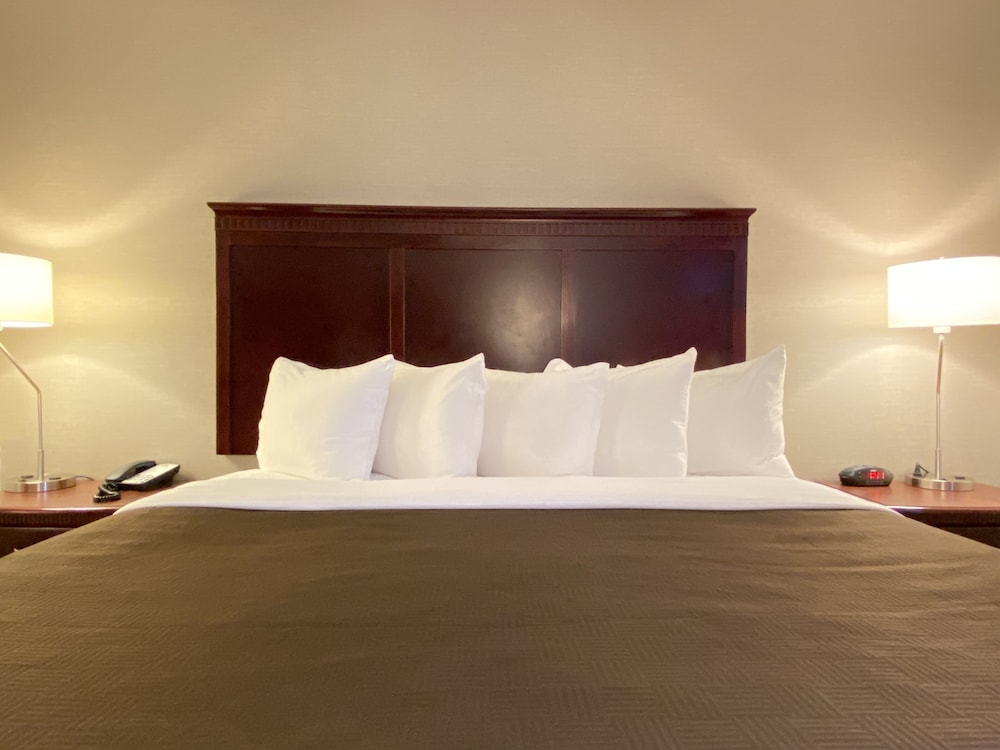 Clarion Inn & Suites Grand Rapids Airport - photo 16