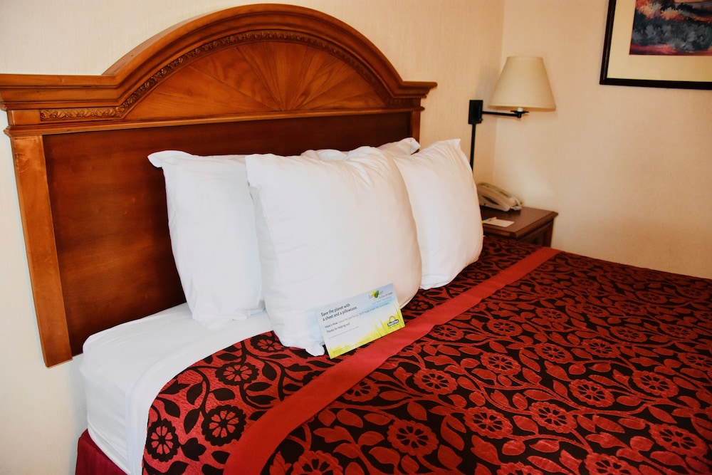 Days Inn by Wyndham Las Cruces - photo 8