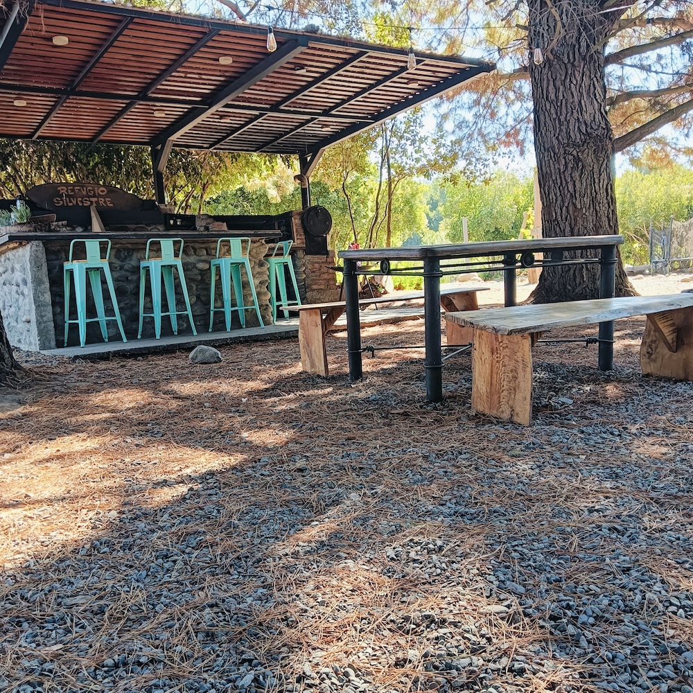 Refugio Silvestre Parque Nacional Siete Tazas Salida a río y pesca in Molina, Chile
