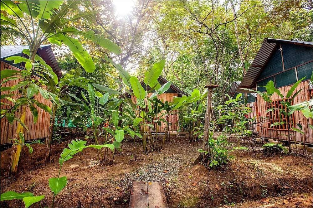 Cacao Monkeys - last minute hotel in Puerto Jimenez